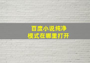 百度小说纯净模式在哪里打开