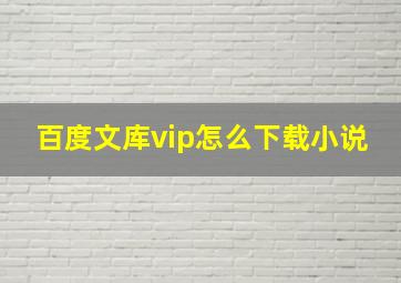 百度文库vip怎么下载小说