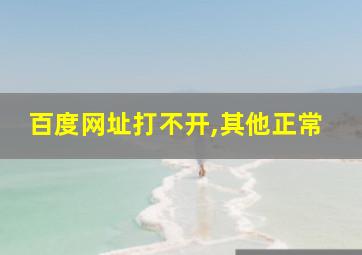 百度网址打不开,其他正常