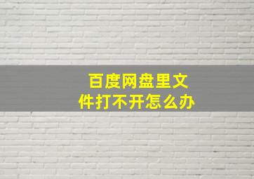 百度网盘里文件打不开怎么办