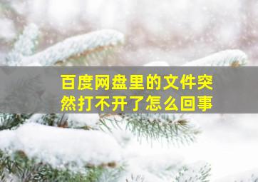 百度网盘里的文件突然打不开了怎么回事