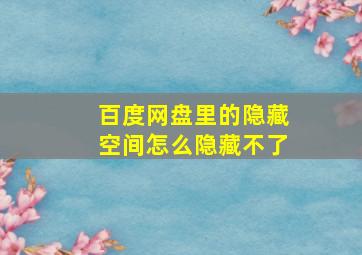 百度网盘里的隐藏空间怎么隐藏不了