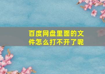 百度网盘里面的文件怎么打不开了呢