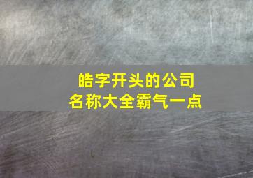 皓字开头的公司名称大全霸气一点