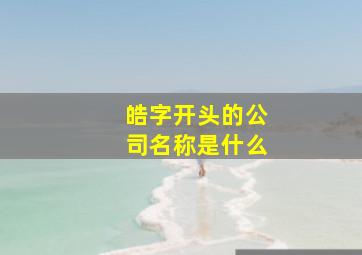 皓字开头的公司名称是什么