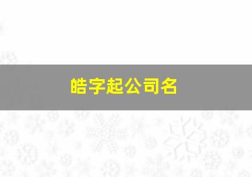 皓字起公司名