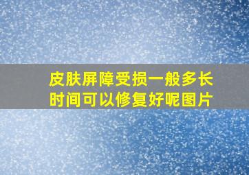 皮肤屏障受损一般多长时间可以修复好呢图片