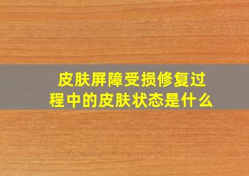 皮肤屏障受损修复过程中的皮肤状态是什么