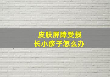 皮肤屏障受损长小疹子怎么办