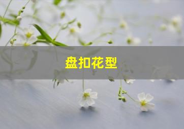 盘扣花型