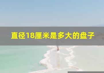 直径18厘米是多大的盘子