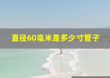 直径60毫米是多少寸管子