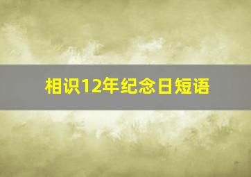 相识12年纪念日短语