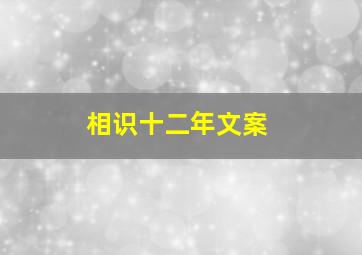 相识十二年文案