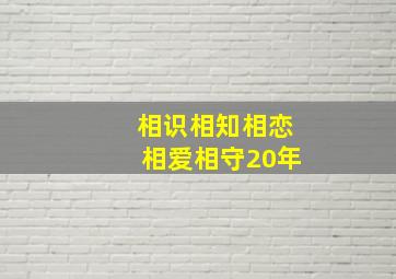 相识相知相恋相爱相守20年