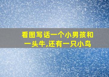 看图写话一个小男孩和一头牛,还有一只小鸟