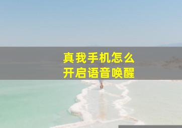 真我手机怎么开启语音唤醒