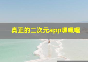 真正的二次元app嘿嘿嘿