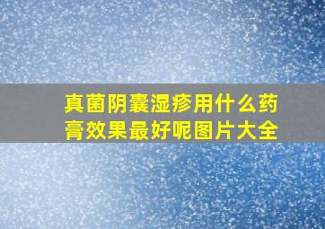 真菌阴囊湿疹用什么药膏效果最好呢图片大全