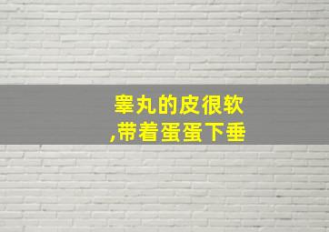 睾丸的皮很软,带着蛋蛋下垂