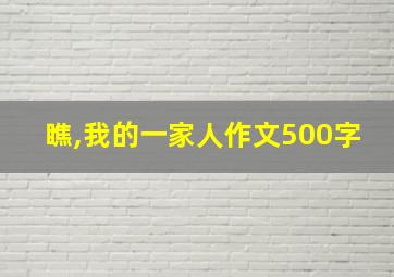 瞧,我的一家人作文500字