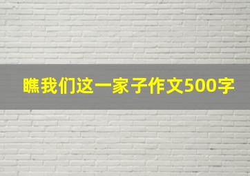 瞧我们这一家子作文500字