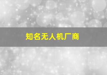 知名无人机厂商