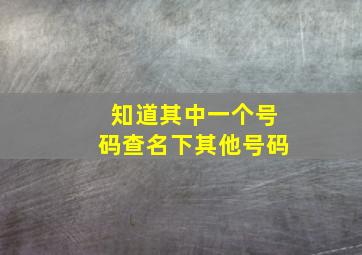 知道其中一个号码查名下其他号码