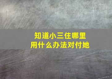 知道小三住哪里用什么办法对付她