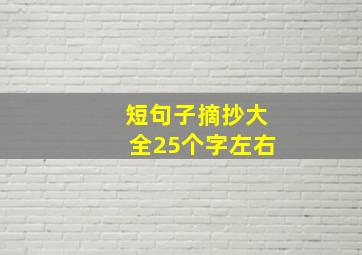 短句子摘抄大全25个字左右