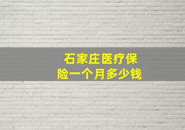 石家庄医疗保险一个月多少钱