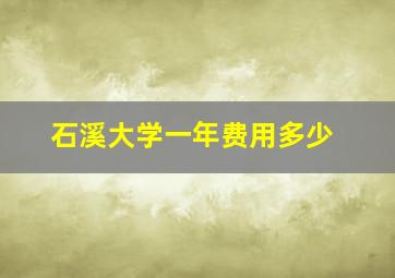 石溪大学一年费用多少