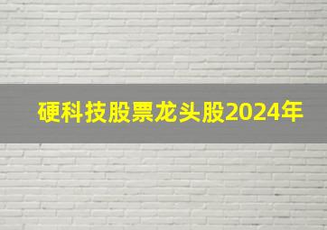 硬科技股票龙头股2024年