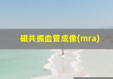 磁共振血管成像(mra)