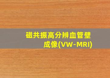 磁共振高分辨血管壁成像(VW-MRI)