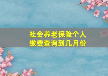 社会养老保险个人缴费查询到几月份