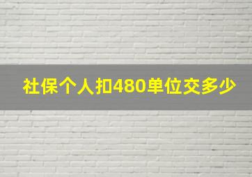 社保个人扣480单位交多少