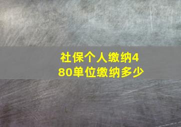 社保个人缴纳480单位缴纳多少