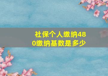 社保个人缴纳480缴纳基数是多少