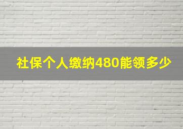 社保个人缴纳480能领多少