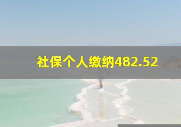 社保个人缴纳482.52