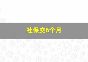 社保交6个月