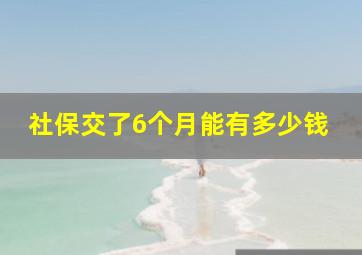 社保交了6个月能有多少钱