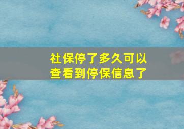 社保停了多久可以查看到停保信息了