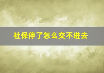 社保停了怎么交不进去