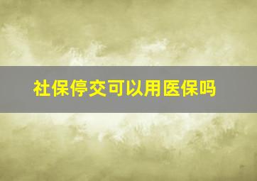 社保停交可以用医保吗