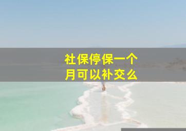 社保停保一个月可以补交么