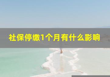 社保停缴1个月有什么影响