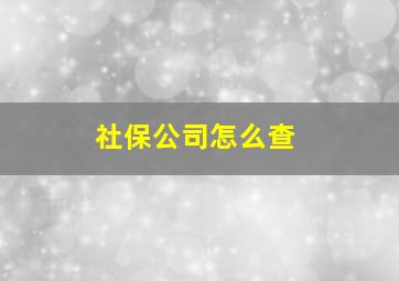 社保公司怎么查