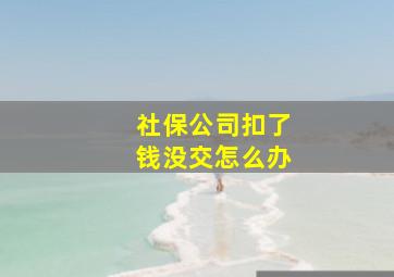 社保公司扣了钱没交怎么办